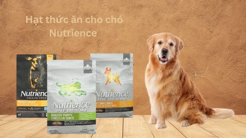 Hạt thức ăn cho chó Nutrience 