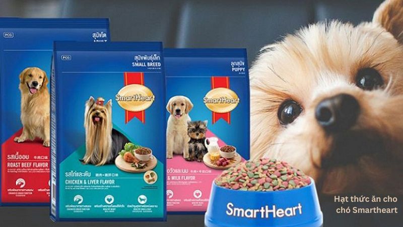 Hạt thức ăn cho chó Smartheart