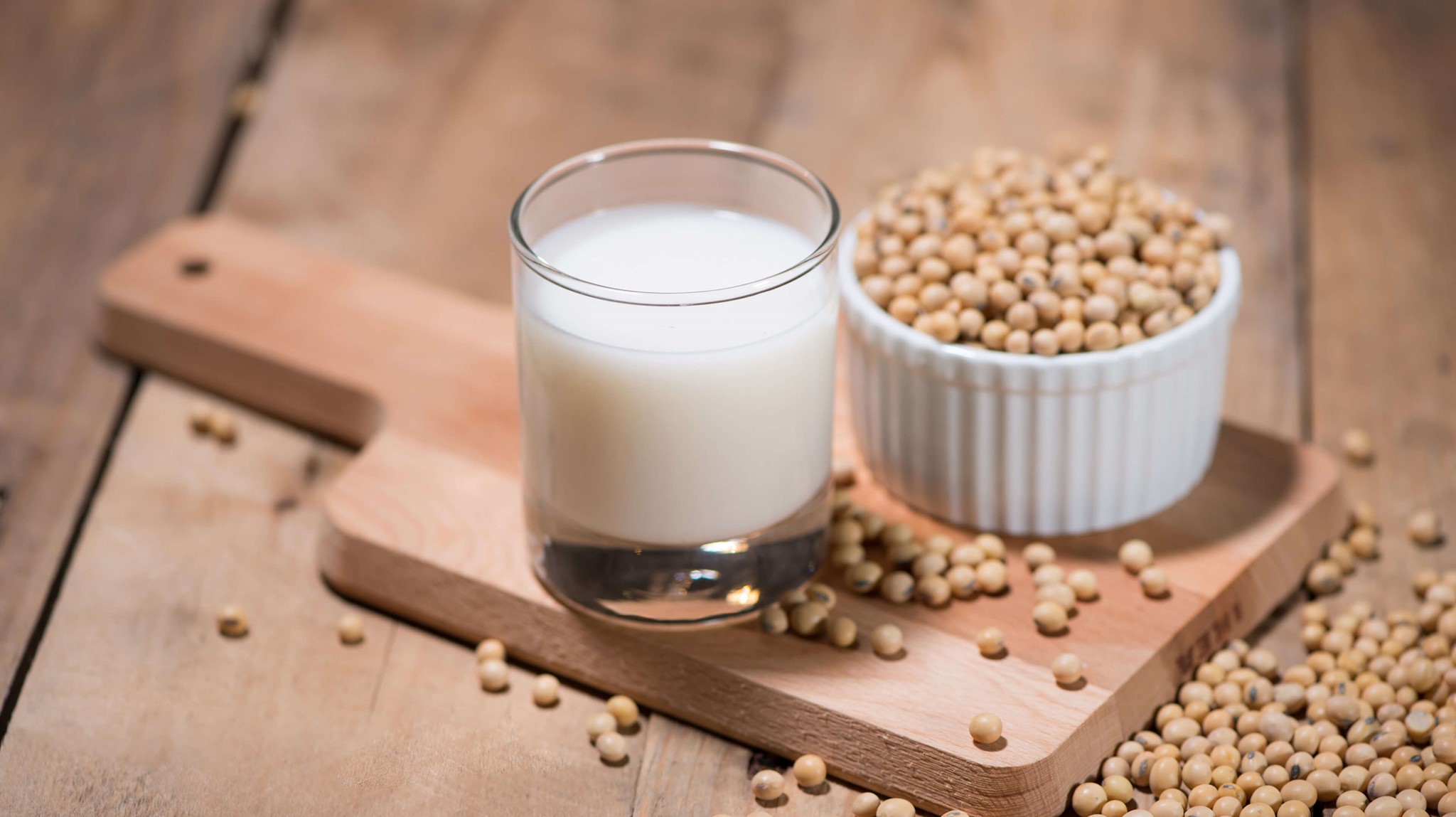 Sữa đậu nành là một trong các loại sữa tuyệt đối không cho mèo uống