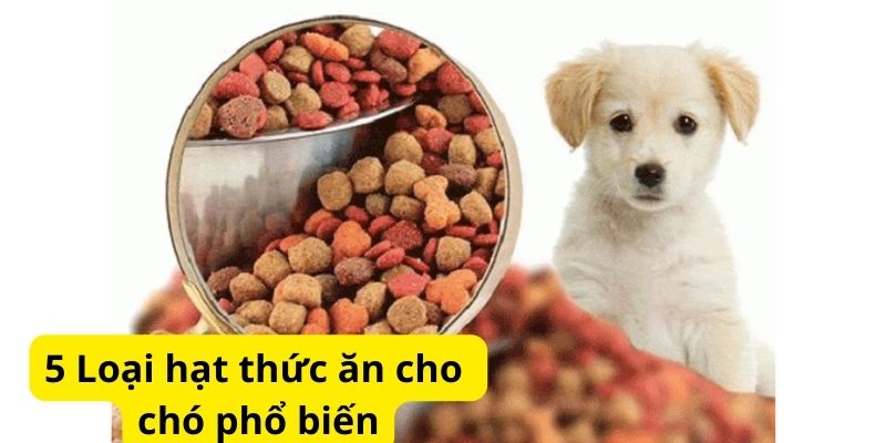 5 Loại hạt thức ăn cho chó phổ biến